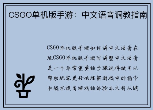 CSGO单机版手游：中文语音调教指南